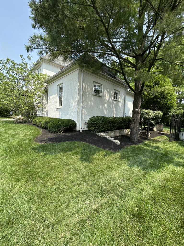 Home columbus lawn care, mowing, trimming, mulching, central ohio