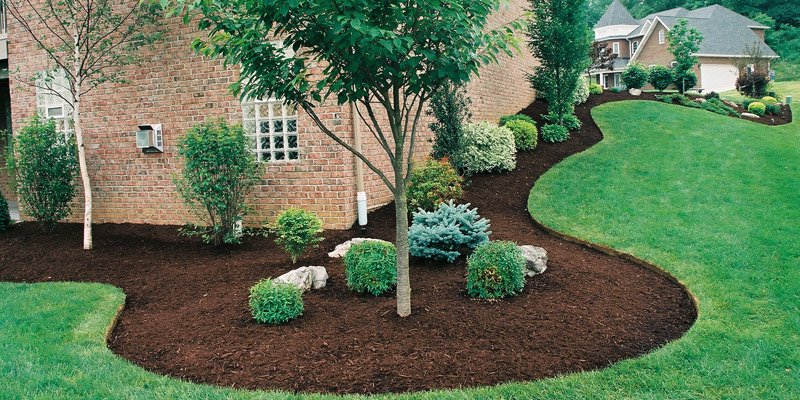 Services mulching